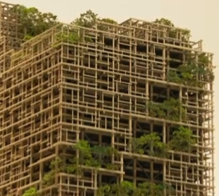 Construtora japonesa divulga planos para edifício com estrutura de madeira